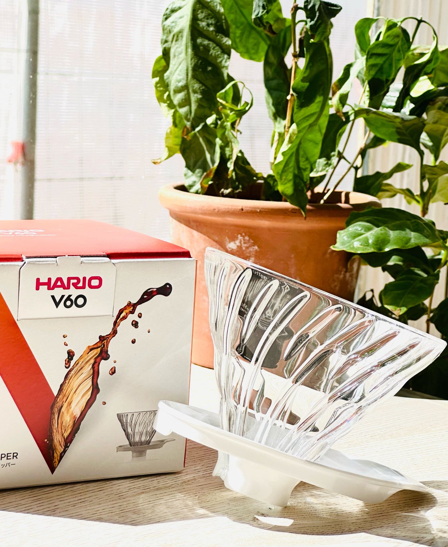 Hario V60 Glass Dripper 02