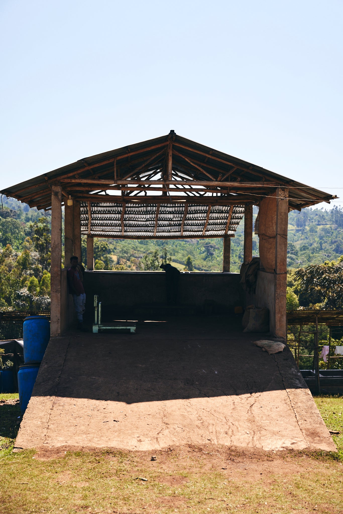 Ethiopia Yaye Natural