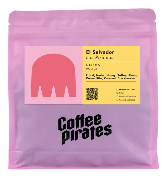 El Salvador Los Pirineos Geisha