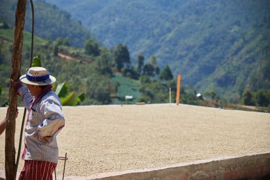 Guatemala Samuel Escalante