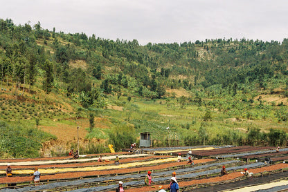 Rwanda Horizon Kigoma