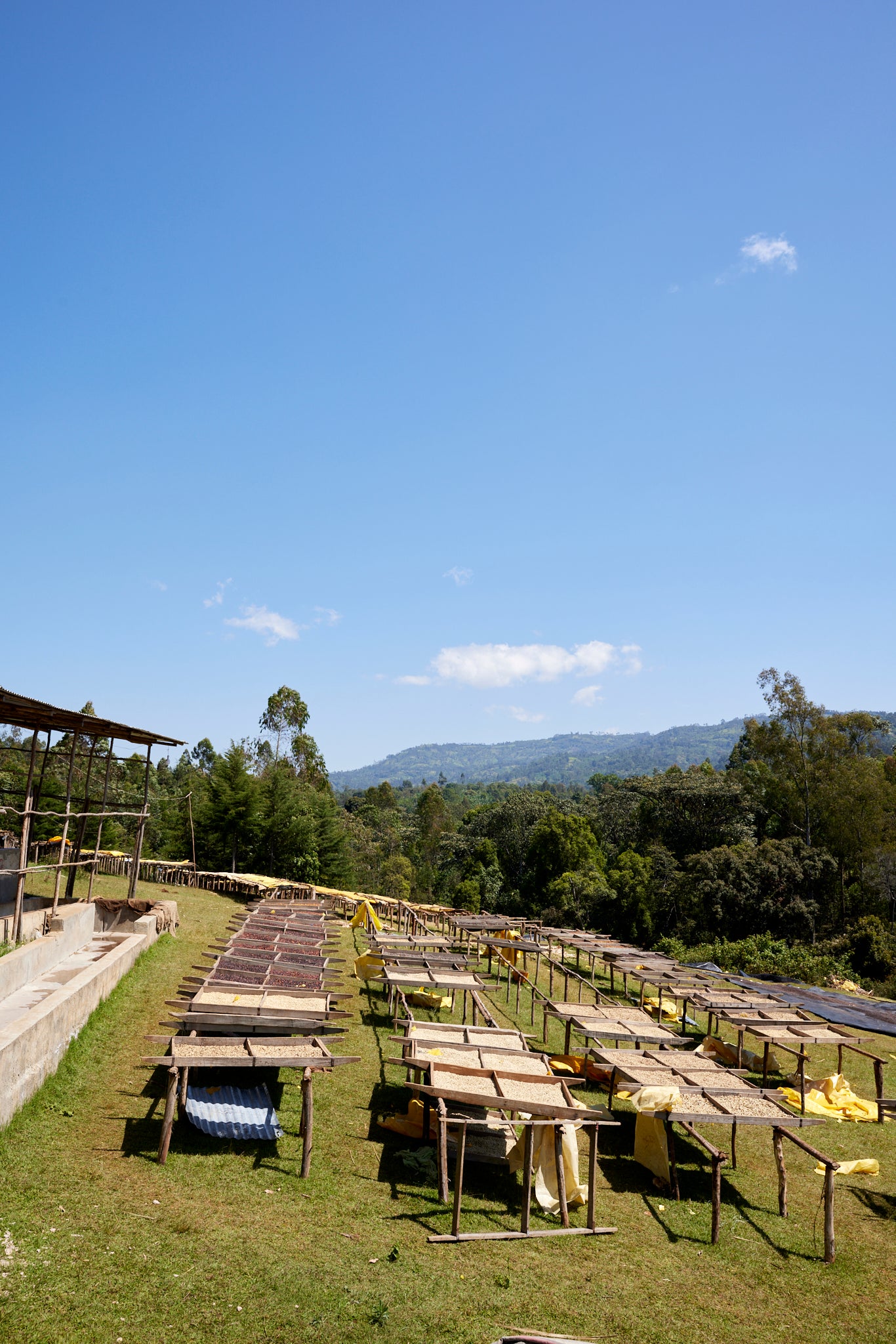 Ethiopia Yaye Natural