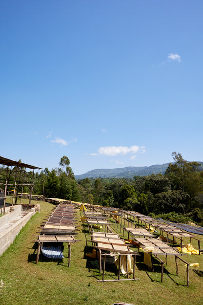 Ethiopia Yaye Natural