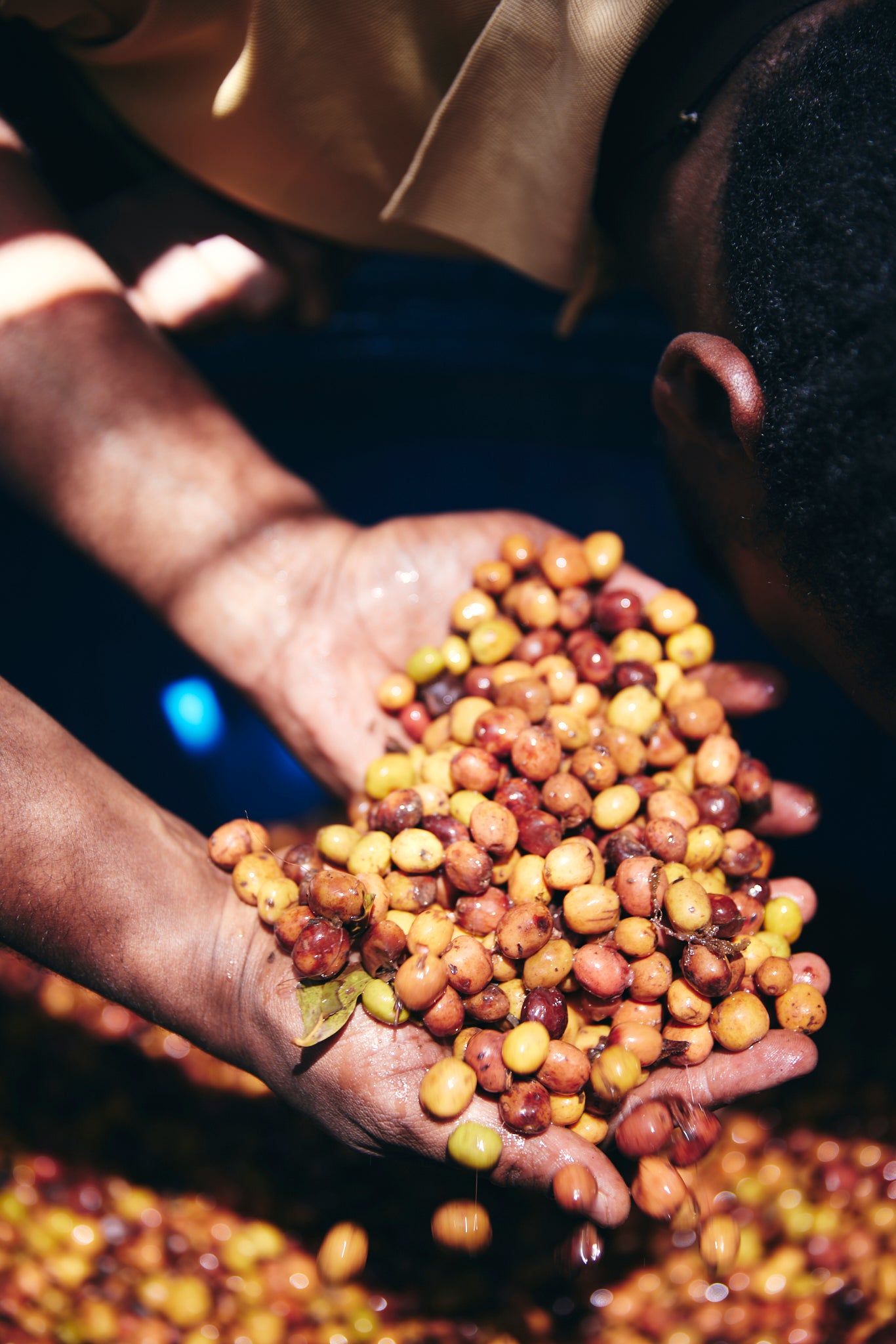 Ethiopia Yaye Natural