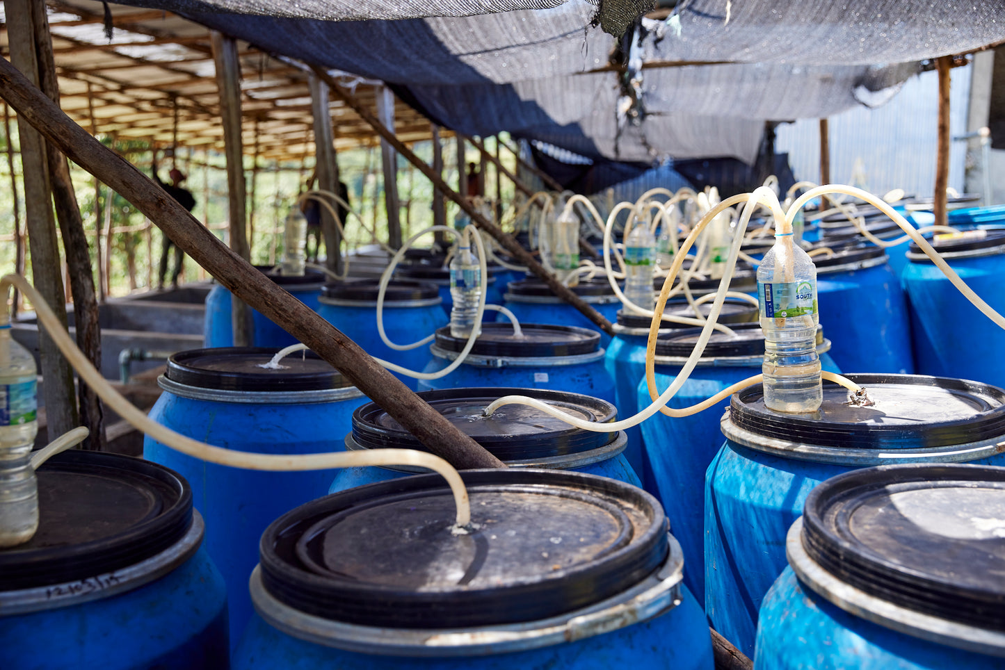 Ethiopia Yaye Natural