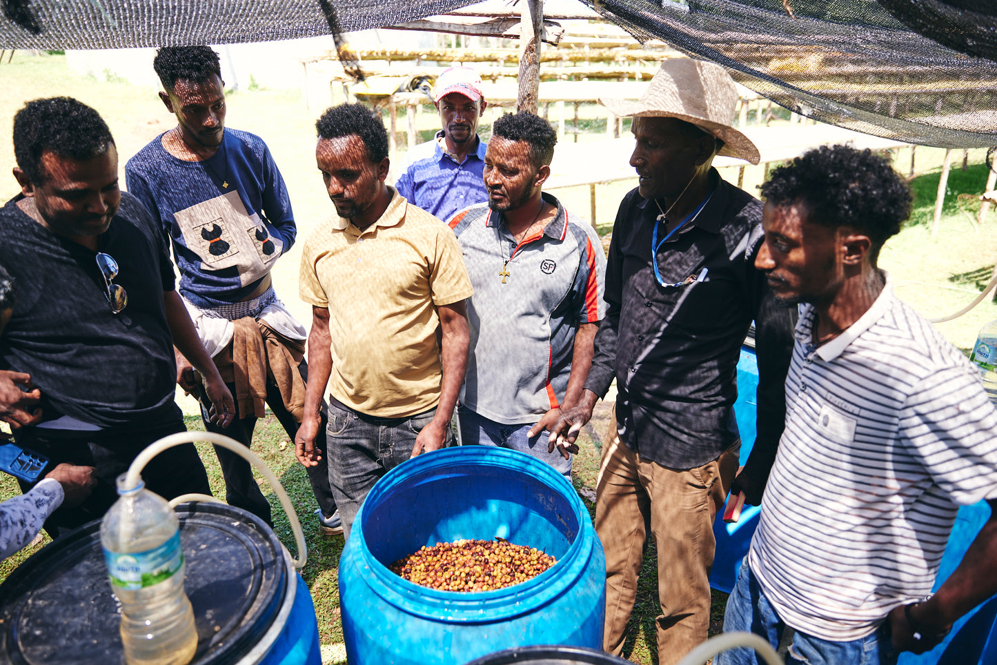 Ethiopia Yaye Natural