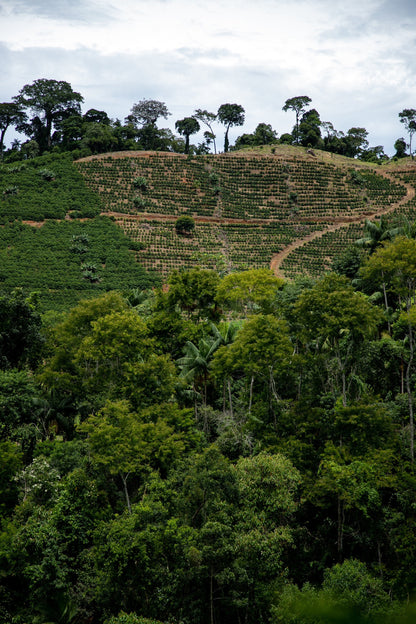 Brasilien Sitio Bateia